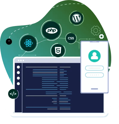 custom web development custom web development